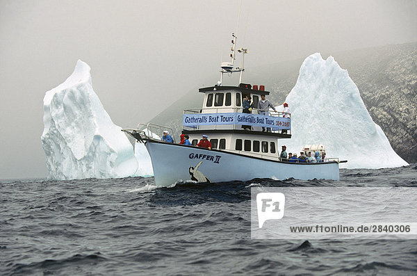 Eisberg sehen Boot Neufundland Saint Marys Ecological Reserve Bucht Kanada Wal