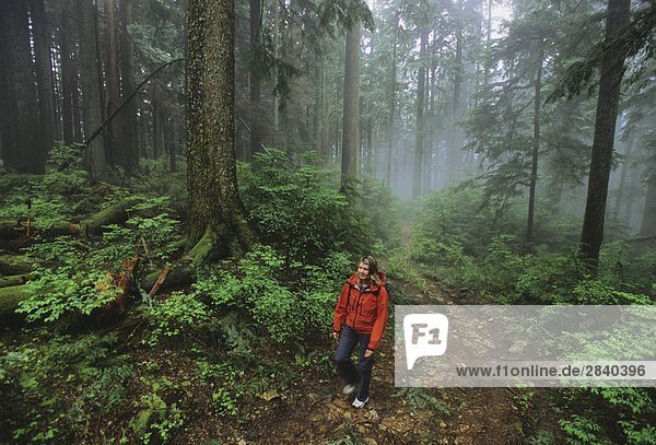 Woman hiking the Lynn Peak Trail in Lynn Headwaters Regional Park  Vancouver  British Columbia  Canada.