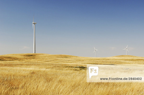 Wind turbines near the town of Gull Lake  Southern Saskatchewan  Canada.