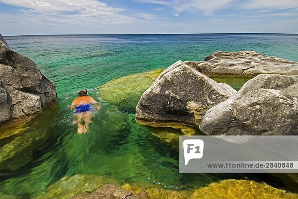 Schnorcheln an der Georgian Bay  Bruce Peninsula National Park  Ontario  Kanada.