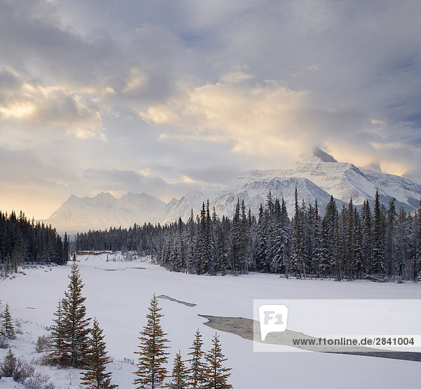 Mount Fryatt und der Athabasca River - Jasper National Park - Alberta  Kanada.