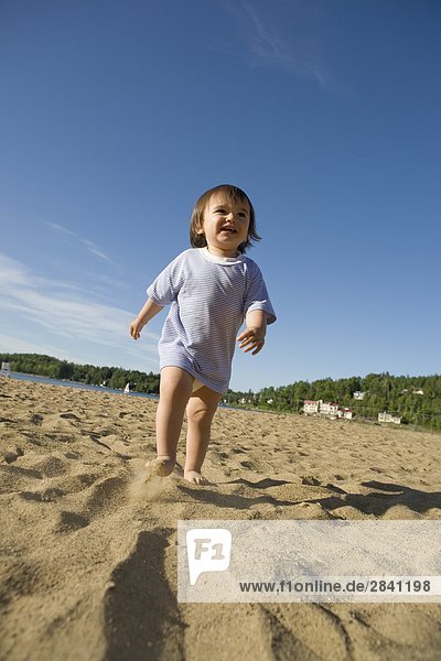 16 Monate eurasischen junge. Kind spielen am Strand  Saint-Agathe  Québec  Kanada.