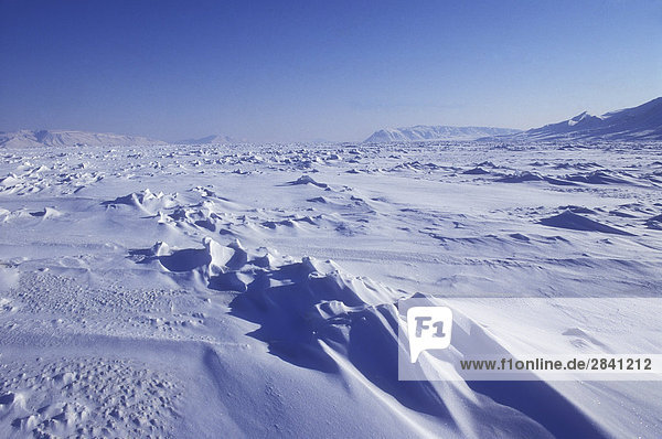 Arktischen Landschaft in Eureka Sound  Ellesmere Island  Nunavut  Kanada.
