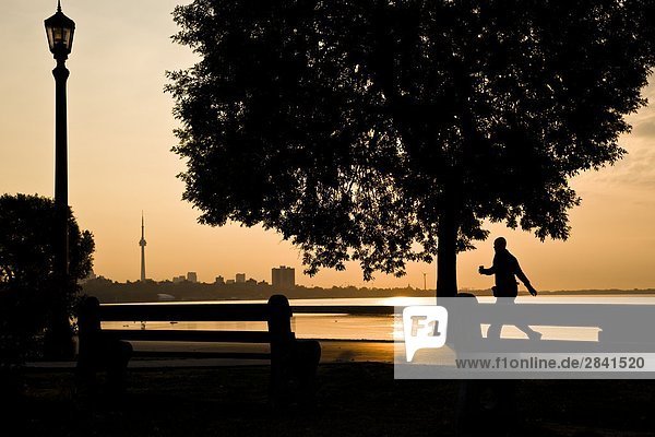 Hiker out for morning stroll along boardwalk at Toronto's waterfront  Toronto  Ontario  Canada.