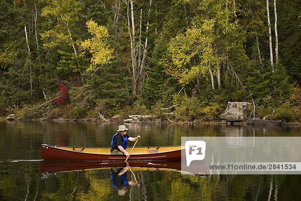 Älterer Mann Kanu am Oxtongue See im Herbst  Mukoka  Ontario  Kanada.
