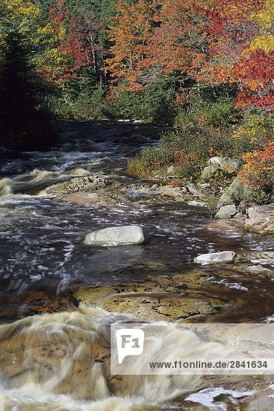 Brook im Herbst entlang der Cabot Trail  Nova Scotia  Kanada.
