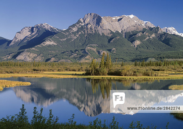 Roche Ronde  Jasper-Nationalpark in Alberta  Kanada