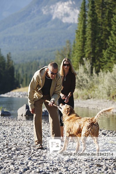 A young married couple playing with their dog  British Columbia  Canada.