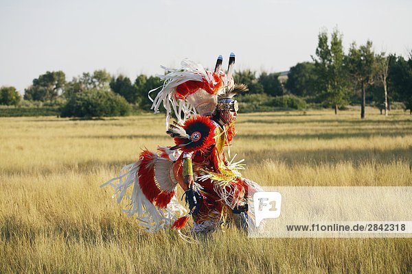 Blackfoot Blut (Plains Indian First Nations) Tänzer tanzen in traditionellen Mens fancy Tanz Outfit in Indian Schlacht Park  Lethbridge  Alberta  Kanada