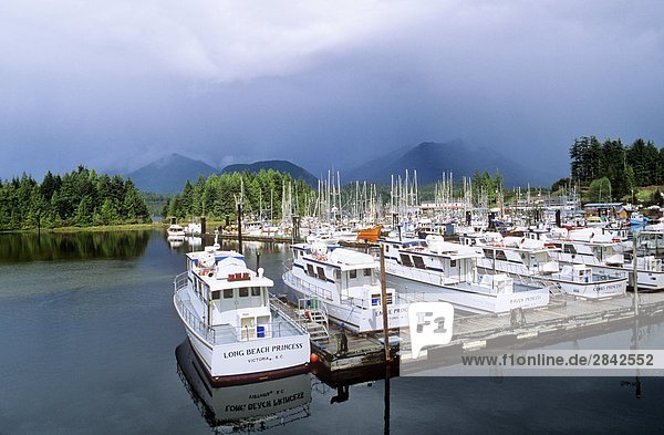 Boote am Ucluelet Marina  Vancouver Island  British Columbia  Kanada