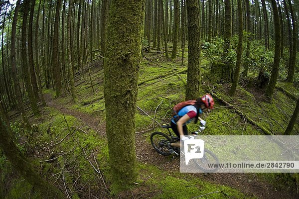 A young woman biking the amazing trails of Hornby Island  British Columbia  Canada.