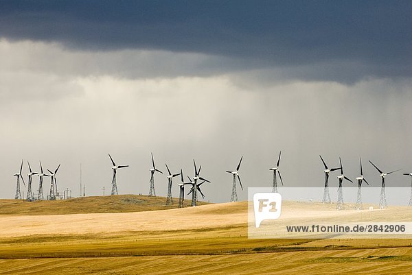 Stormy skies at a wind farm near Pincher Creek  Alberta  Canada.