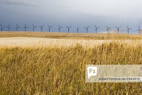 Stormy skies at a wind farm near Pincher Creek  Alberta  Canada.