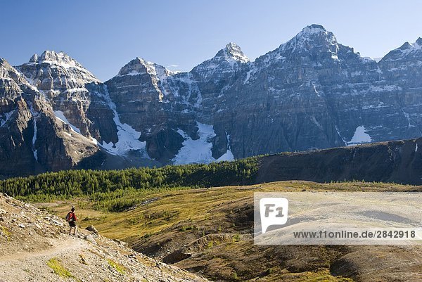 A female hiker looks out over Larch Valley on the trail to Sentinel Pass near Moraine Lake  Banff National Park  Alberta  Canada.