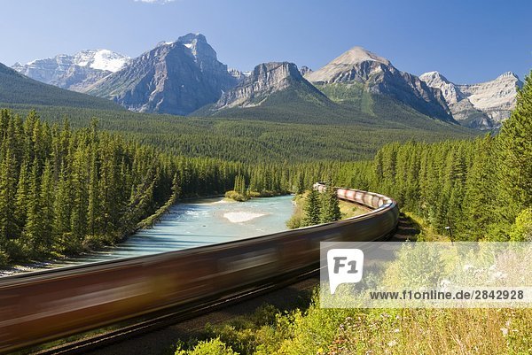 A train passes through the famous Morant's Curve near Lake Louise in Banff National Park  Alberta  Canada.