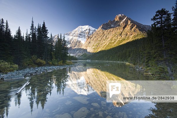 Mount Edith Cavell reflected in Cavell Lake in Jasper National Park  Alberta  Canada.