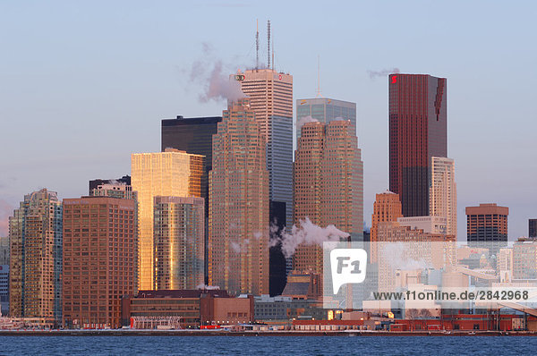 Toronto skyline in morning  Toronto  Ontario  Canada