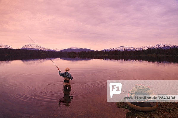 Fly fisherman casting for trout at dawn  McBride Lake near Morice Lake  British Columbia