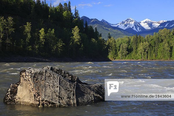 Skeena River near the First Nations village of Kitseguecla  British Columbia  Canada