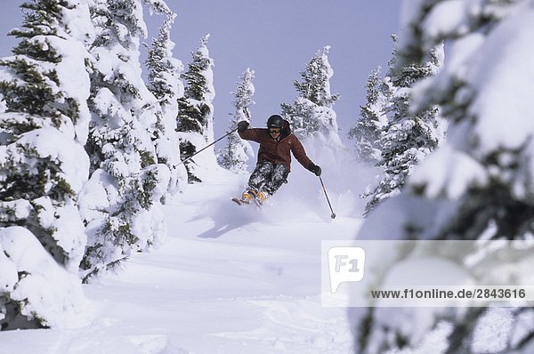 A skier catching some air in Smithers  British Columbia  Canada