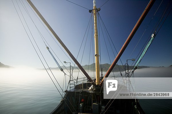 Morgennebel Schwärmen um die MV Uchuck III  Versorgungsschiff  wie es die Gewässer rund um Zebellos dem Weg nach freundlich Cove auf Western Vancouver Island  Vancouver Island  British Columbia  Kanada Faserlagen