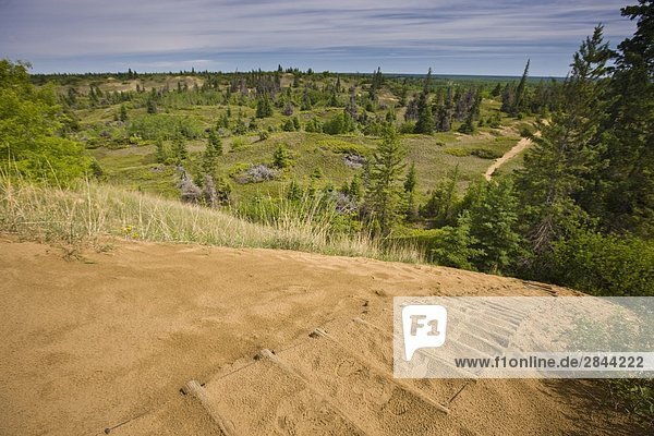 Überblick über den Geist Sands Spuren von oben auf einer Sanddüne in Fichte Woods Provincial Park  Manitoba  Kanada