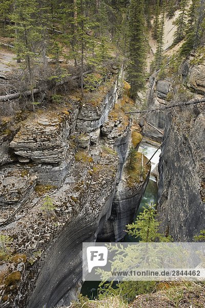 Mistaya Canyon  Banff National Park  Alberta  Canada