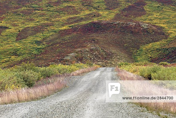 Unasphaltierten Straße  Tombstone Territorial Park  Yukon-Territorium  Kanada