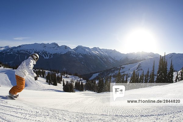 Snowboarder auf präparierte Schlittelbahn  Whistler  British Columbia  Kanada