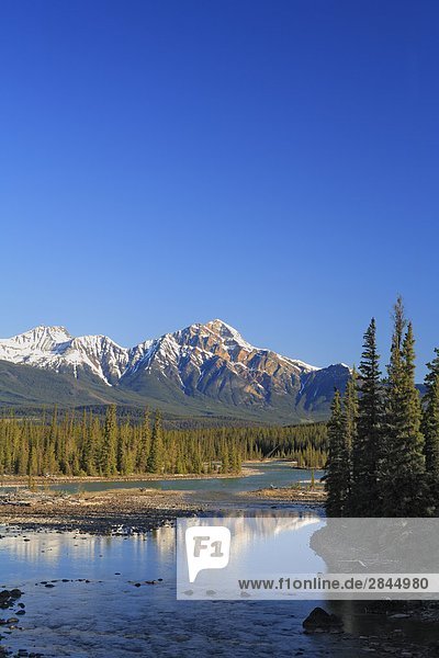 Pyramid Mountain und den Athabasca River im Jasper-Nationalpark in der kanadischen Rockies  Alberta  Kanada