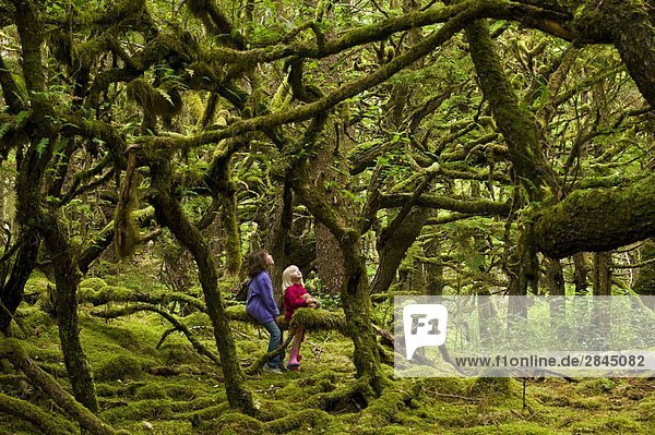 Zwei Kinder in bemoosten Wald  Naikoon Provincial Park  Queen Charlotte Islands  British Columbia  Kanada