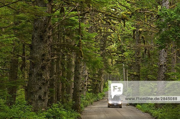 Auto auf dem Weg zum Tow Hill,  Naikoon Provincial Park,  Queen Charlotte Islands,  British Columbia,  Kanada