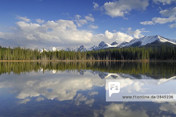 Buller Mountain Pond  south of Canmore  Spray Valley Provincial Park  Alberta  Canada