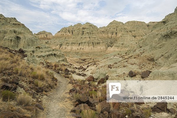 The Blue Basin at the John Day Fossil Beds National Monument  Oregon  USA