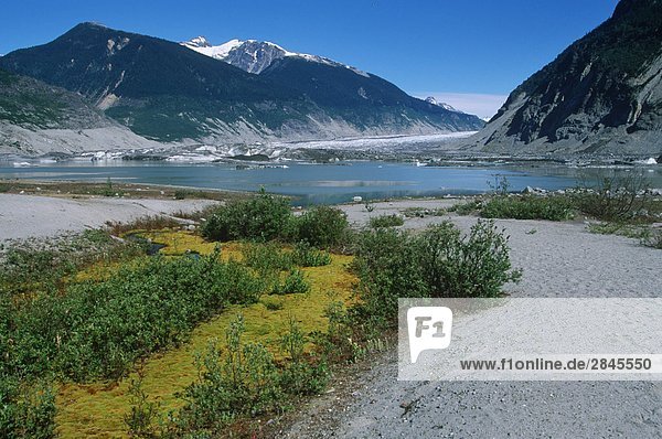 Coast Range  Klinaklini Gletscher  Nimmo Bay Heli Ventures  British Columbia  Kanada.
