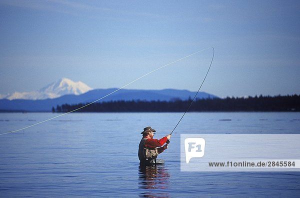 Fly fisherman at Bazan Bay  Sidney  Vancouver Island  British Columbia  Canada.