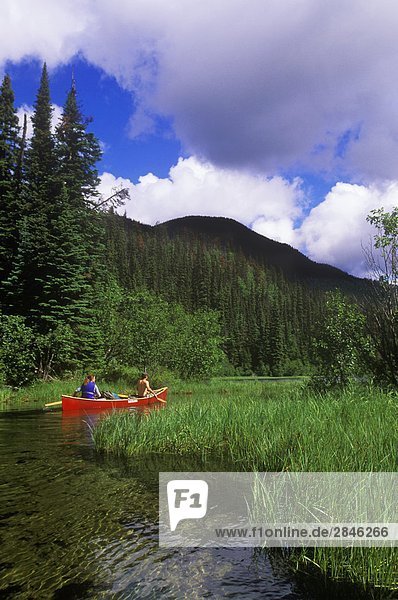 Kanuland Bowron Lakes Provincial Park  British Columbia  Kanada.