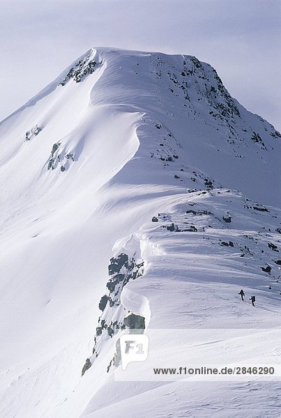 Skifahrer ein Ridgeline steigen Sie auf die Speerspitze Traverse  ein Ski traverse zwischen Whistler und Blackcomb  Whistler  British Columbia  Kanada.