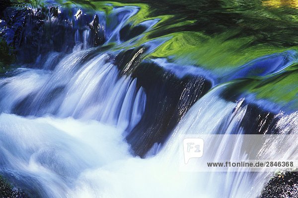 Wasserfall im Gwaii Haanas National Park reserve  South Moresby  British Columbia  Kanada.