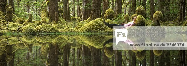 Sumpf Wald  Tow Hill Ecológica  Queen Charlotte Islands  British Columbia  Kanada.