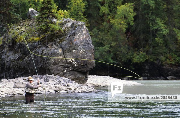 Fliegenfischer Casting für Steelhead  Bulkley River  Smithers  British Columbia  Kanada.