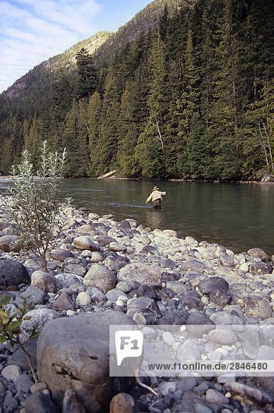 Fliegenfischer Casting für Sommer führen Steelhead  Dean River  British Columbia  Kanada.