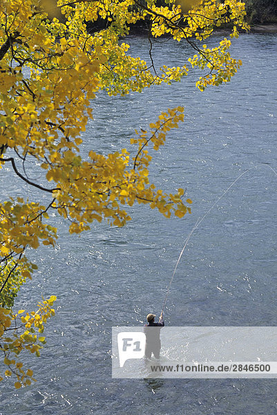 Flyfisherman on the Bulkley river near Quick  British Columbia  Canada.