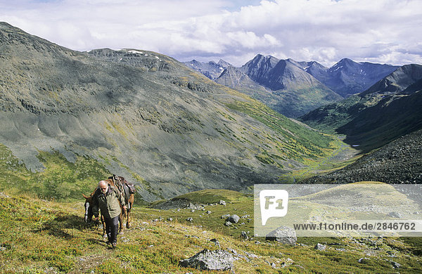 Leading a horse up a steep alpine slope  Muskwa Kechika Wilderness  Northern Rockies  British Columbia  Canada.