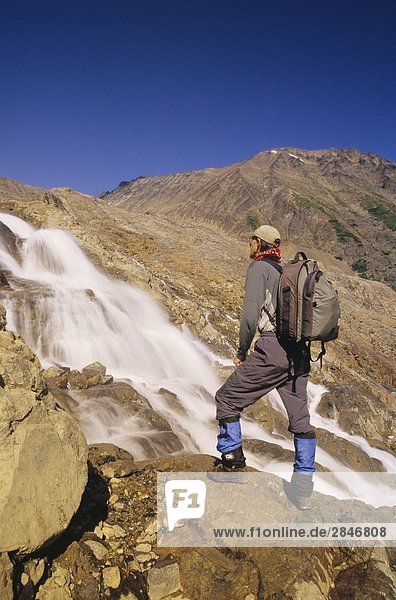 Wanderer neben Gletscher Gulch  Hudson Bay Mountain  Smithers  British Columbia  Kanada.