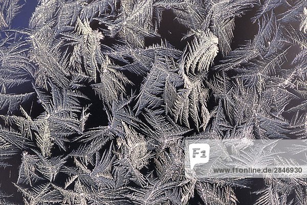 Frost Mustern auf Fensterscheibe  Smithers  British Columbia  Kanada.