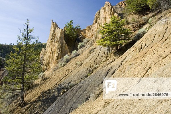 Churn Creek Bereich British Columbia Kanada.
