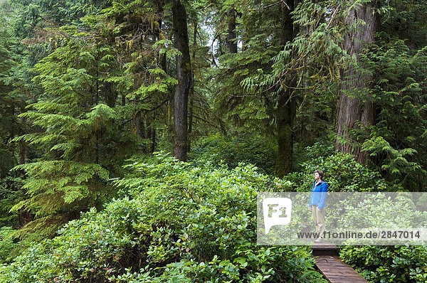 Frau auf Regenwald Trail im Pacific Rim National Park  Vancouver Island  British Columbia  Kanada.