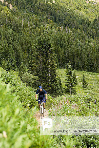 Mountainbiker Fahrten bis aus Eldorado Becken Windy Pass  südlichen Chilcotin Bergen  British Columbia  Kanada.