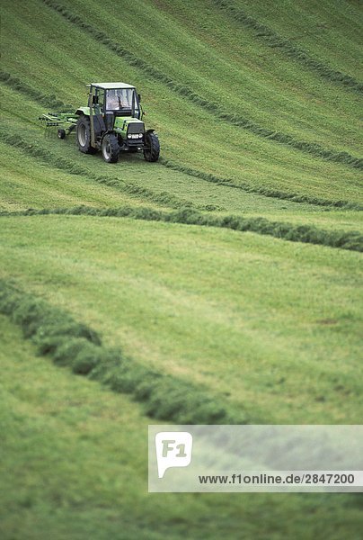 Europa  Deutschland  Bayern  Landwirt Rechen Heu Feld mit Traktor